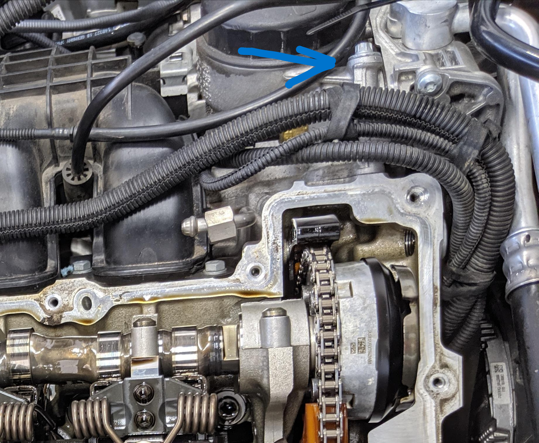 An image attached to this post, provided by the poster