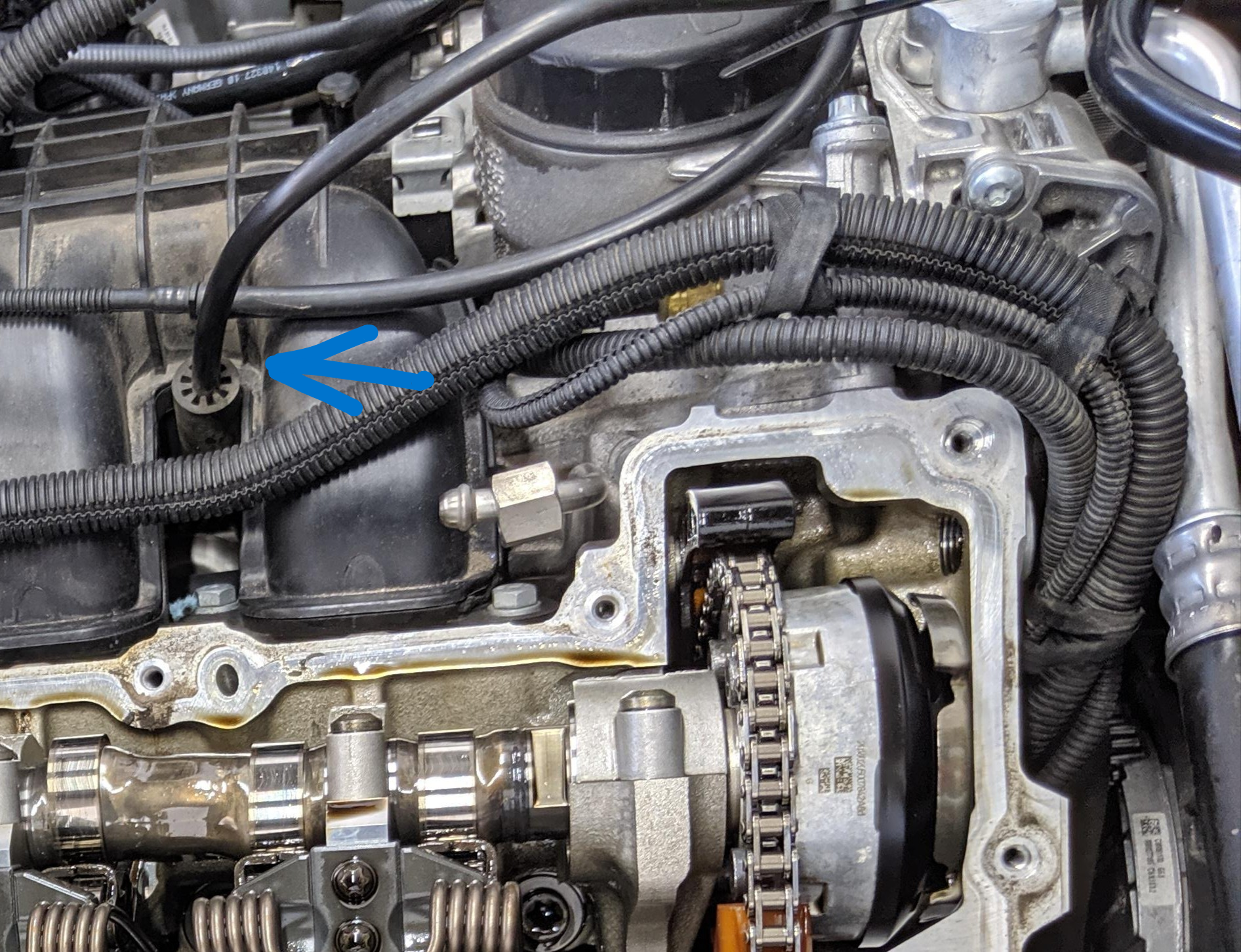 An image attached to this post, provided by the poster