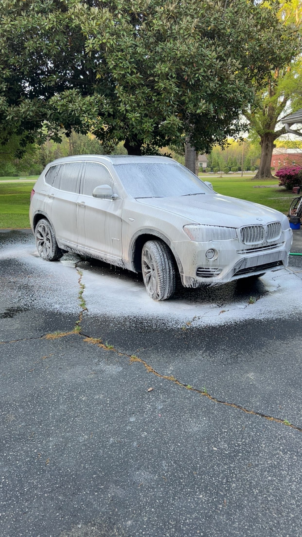 An image attached to this post, provided by the poster