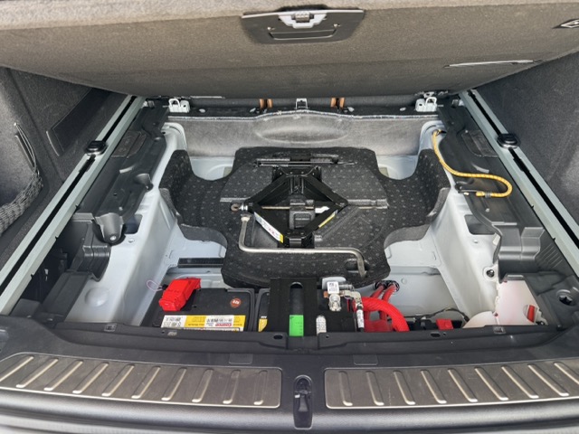 Name:  IMG_1926 Medium.jpeg
Views: 537
Size:  98.7 KB