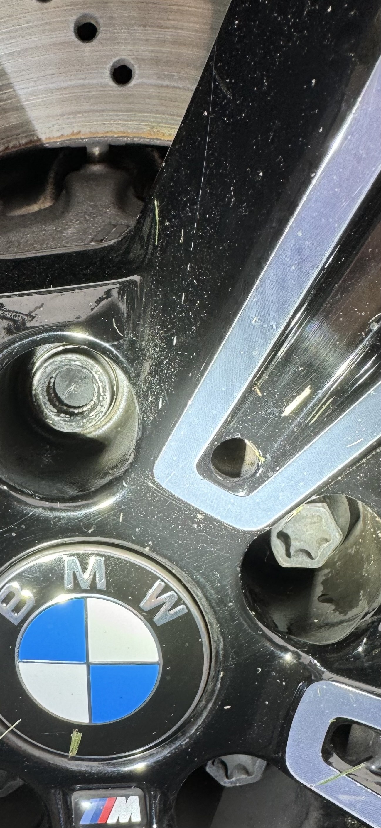 An image attached to this post, provided by the poster