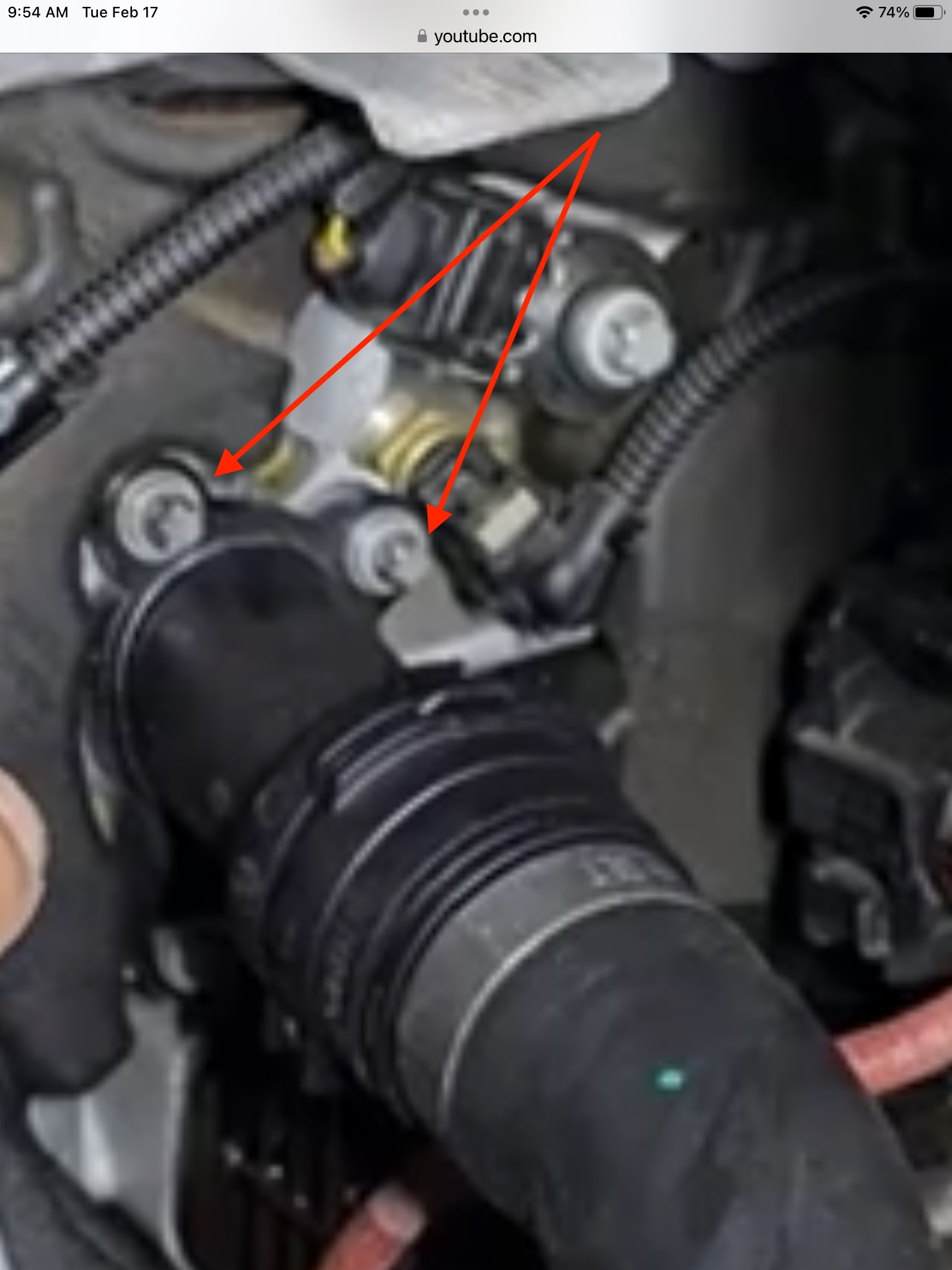 An image attached to this post, provided by the poster