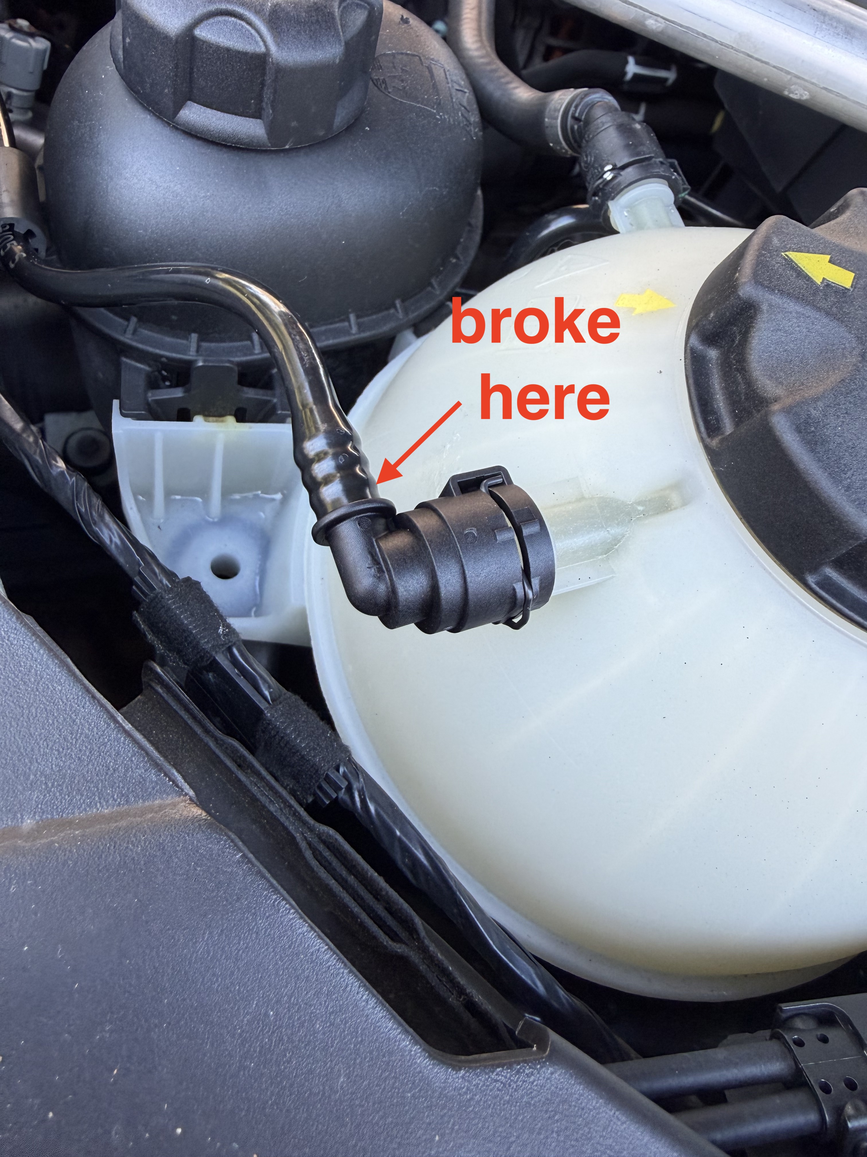 An image attached to this post, provided by the poster