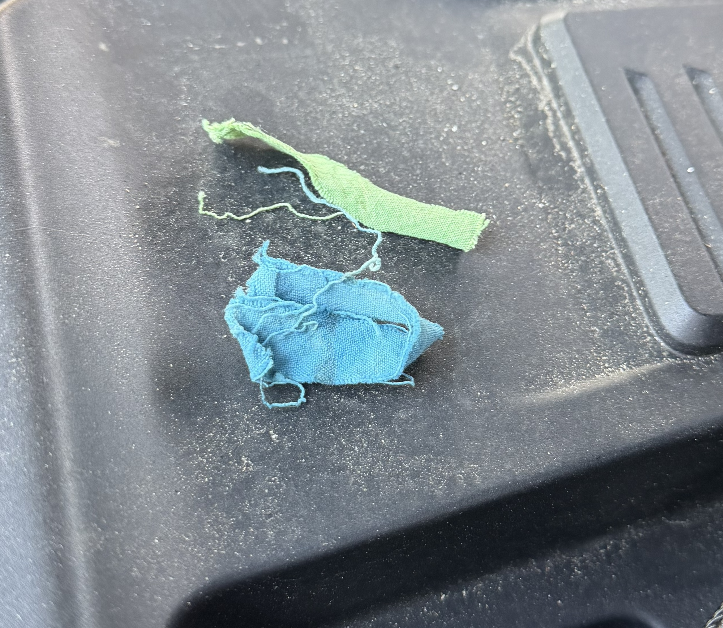 An image attached to this post, provided by the poster