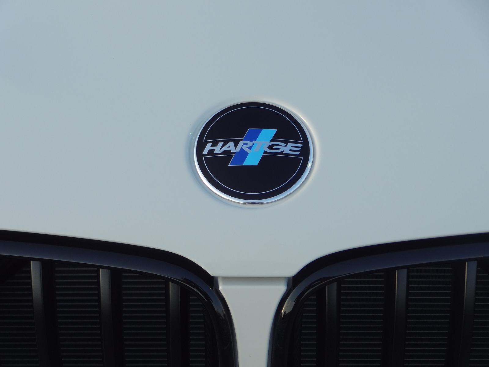 An image attached to this post, provided by the poster