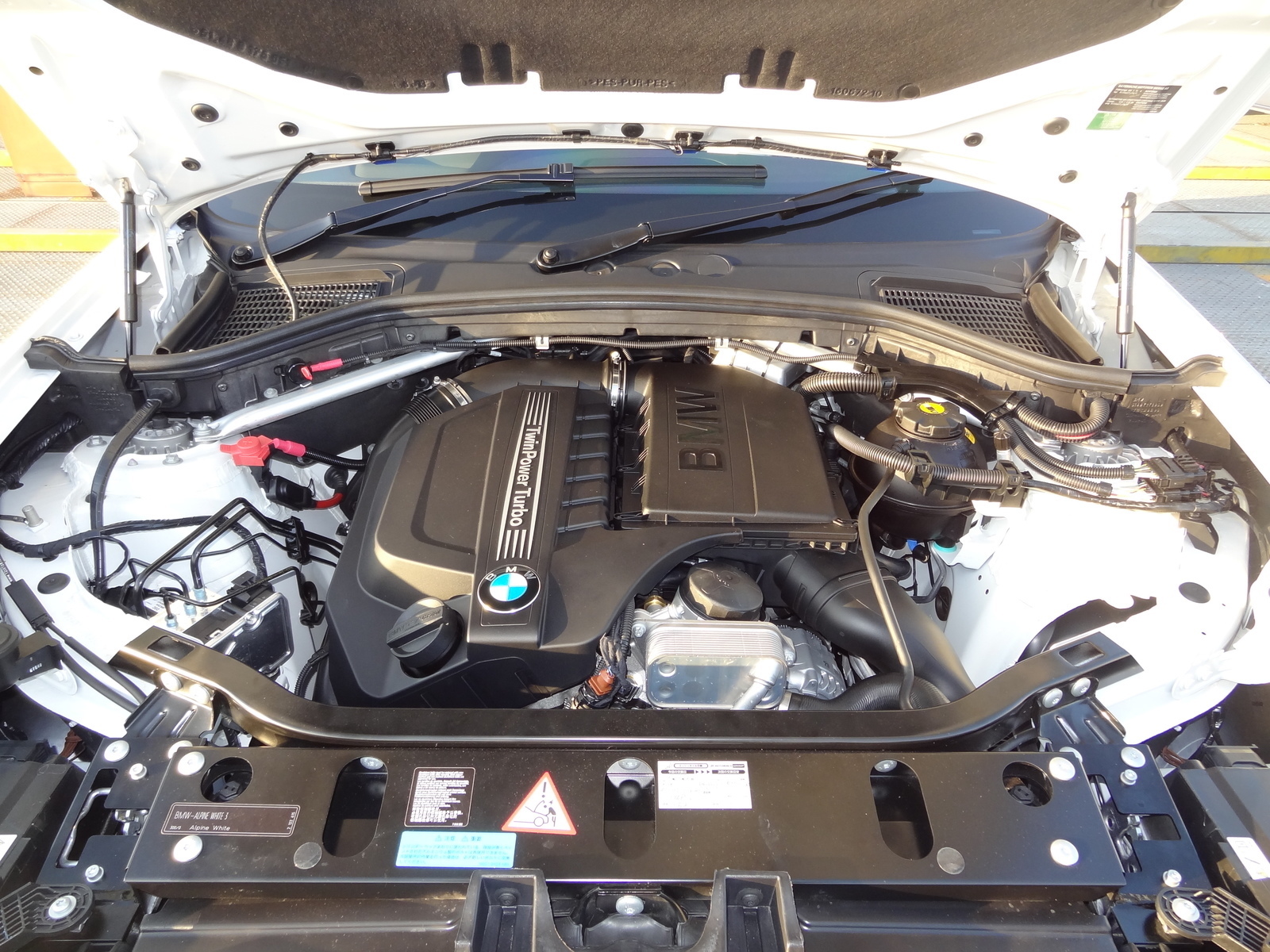 An image attached to this post, provided by the poster