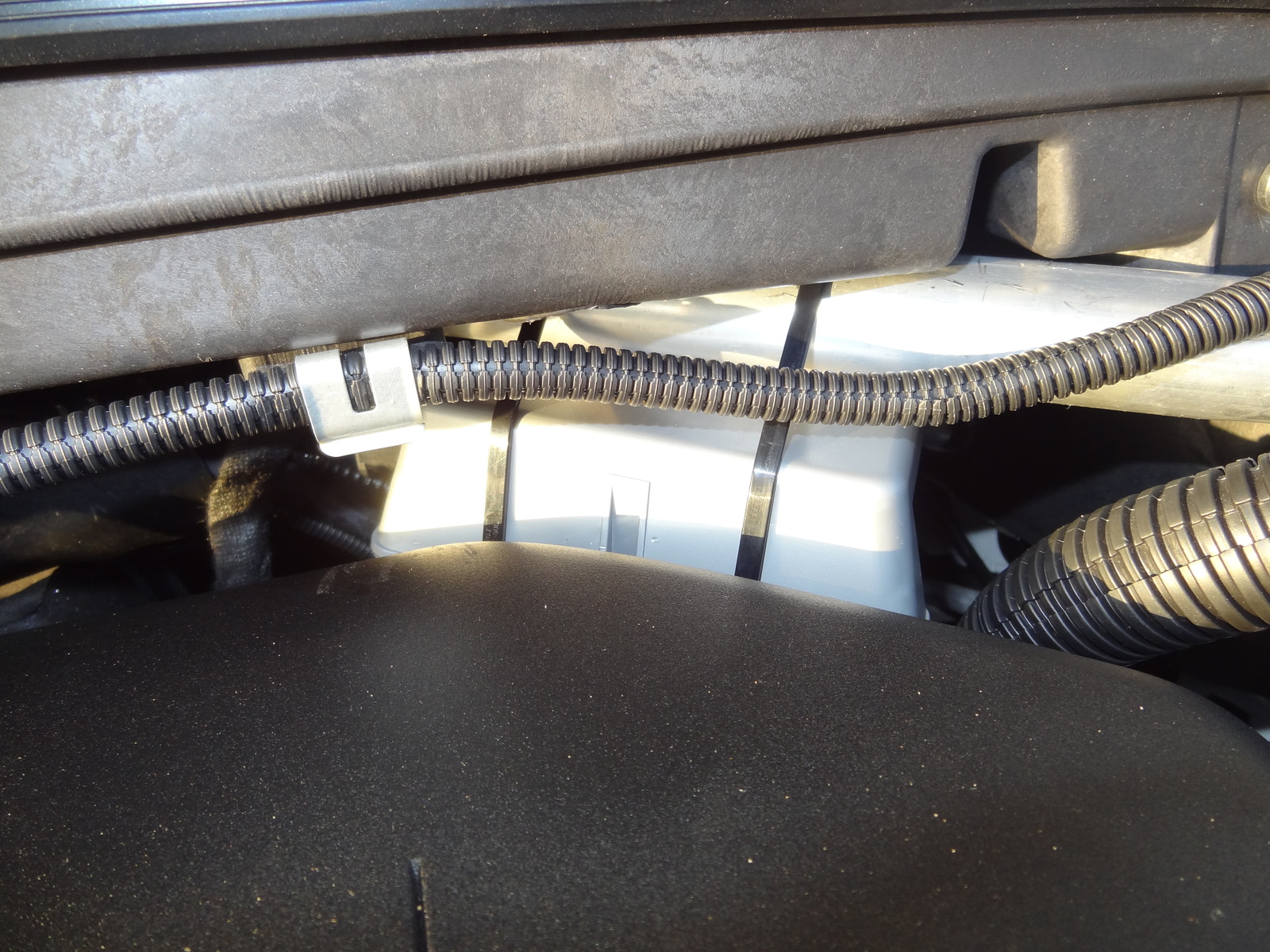 An image attached to this post, provided by the poster