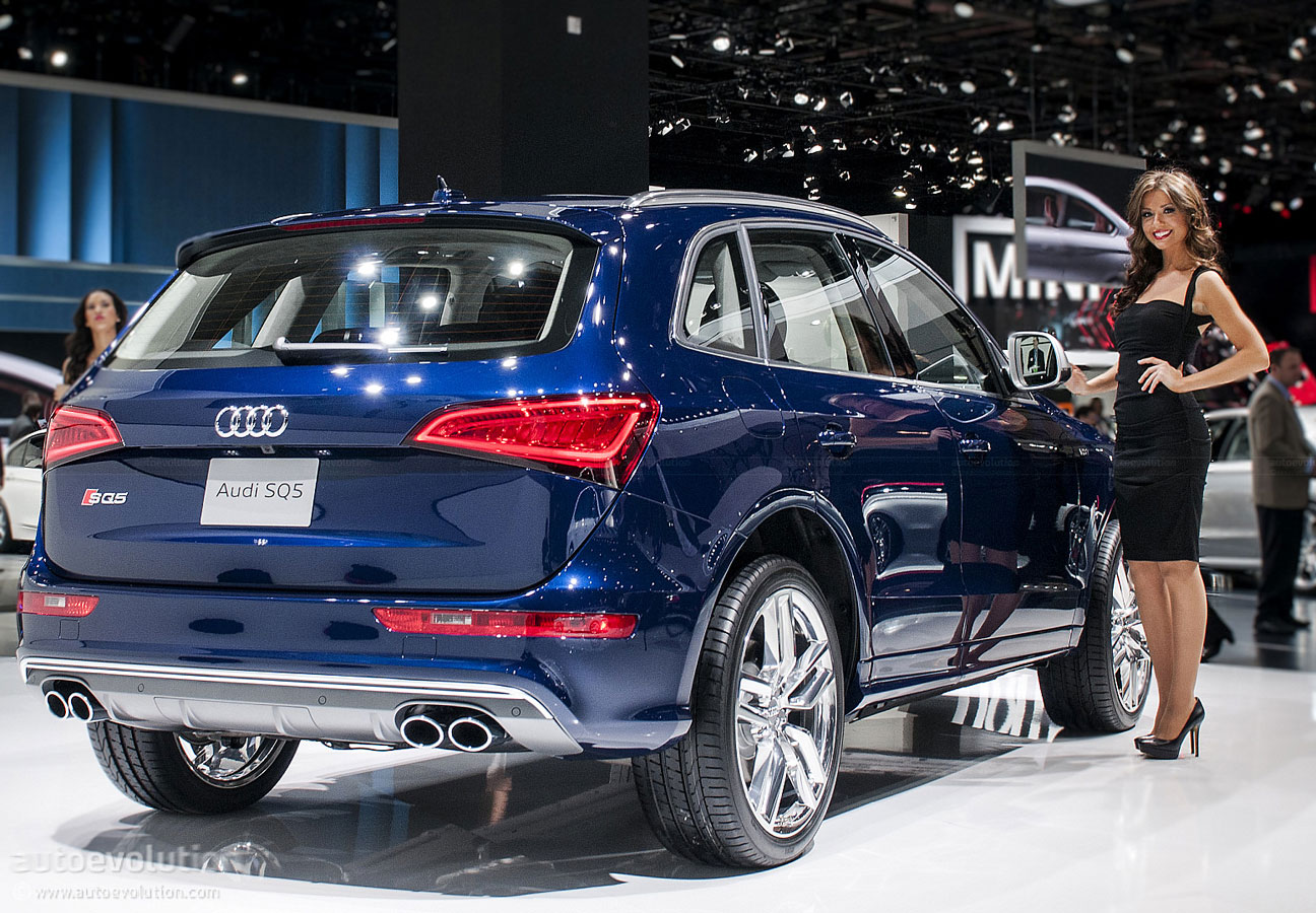 Name:  2013-naias-audi-sq5-live-photos_11.jpg
Views: 4205
Size:  302.3 KB