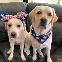 BillsGirlGina's Avatar