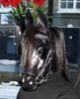 Horsey user avatar